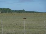 P1010005.JPG