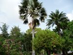 P1000306.JPG
